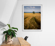 Load image into Gallery viewer, Golden Field
